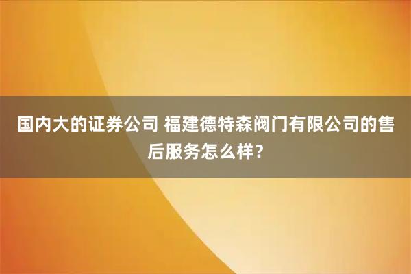 国内大的证券公司 福建德特森阀门有限公司的售后服务怎么样？