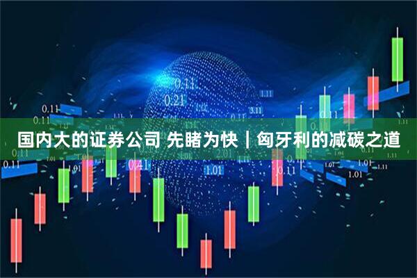 国内大的证券公司 先睹为快｜匈牙利的减碳之道