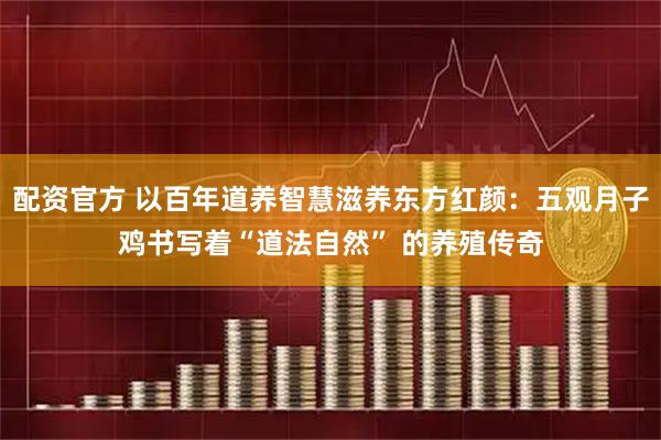 配资官方 以百年道养智慧滋养东方红颜：五观月子鸡书写着“道法自然” 的养殖传奇