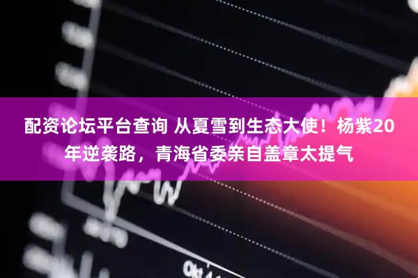 配资论坛平台查询 从夏雪到生态大使！杨紫20年逆袭路，青海省委亲自盖章太提气